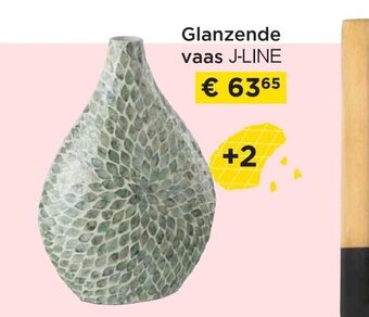 Molecule Glanzende vaas j-line aanbieding