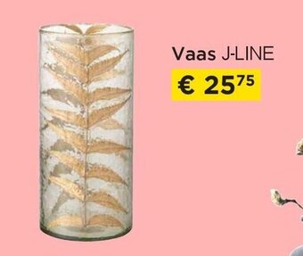 Molecule Vaas j-line aanbieding