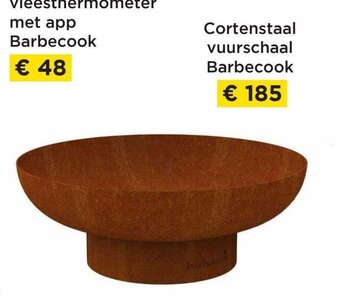 Molecule Cortenstaal vuurschaal barbecook aanbieding