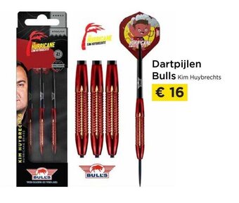 Dartpijlen bulls kim huybrechts