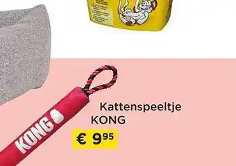 Kattenspeeltje kong