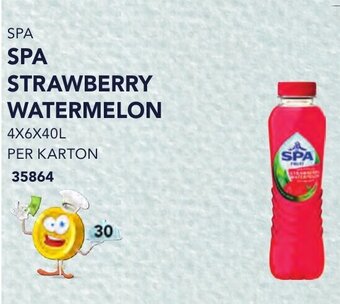 Bidfood Spa strawberry watermelon aanbieding