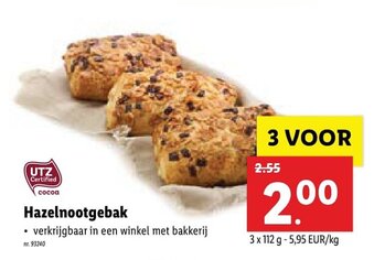 Hazelnootgebak