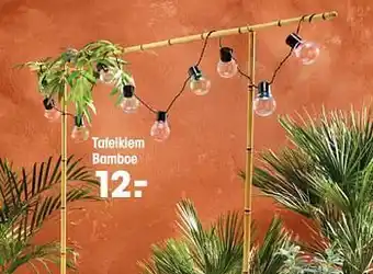 Kwantum Tafelklem bamboe aanbieding