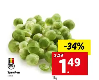 Lidl Spruiten 1kg nr. 82933 aanbieding