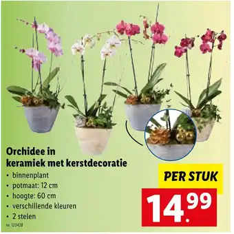 Lidl Orchidee in keramiek met kerstdecoratie per stuk aanbieding