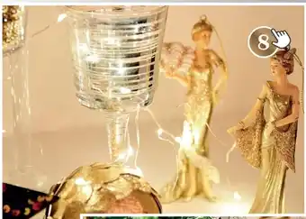 Brico Versiering Madame Champagne aanbieding