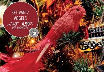Brico Set van 2 Vogels aanbieding