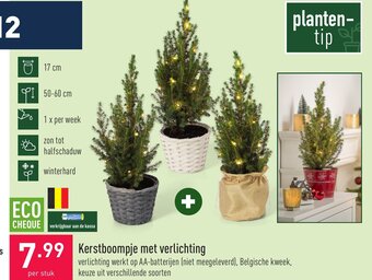 ALDI Kerstboompje met Verlichting aanbieding
