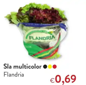 OKay Sla multicolor aanbieding
