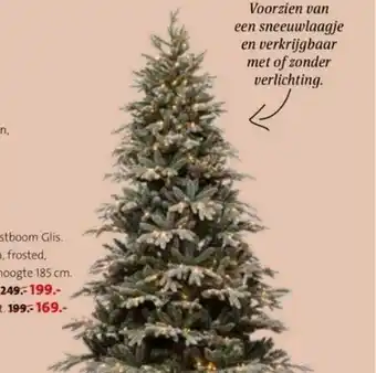 Intratuin Kerstboom glis aanbieding