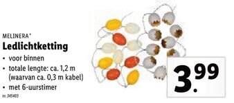 Lidl Melinera Ledlichtketting aanbieding