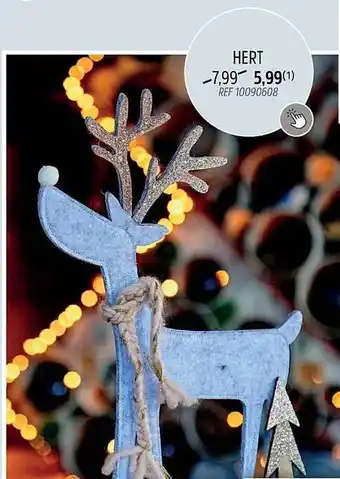 Brico Hert aanbieding