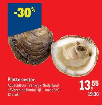 Platte oester