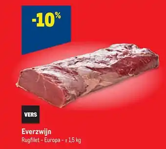 Everzwijn