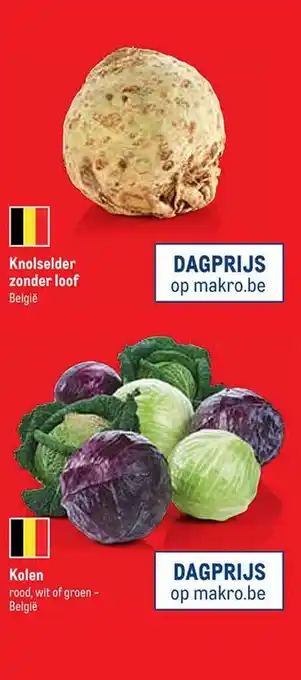 Knolselder zonder loof, kolen