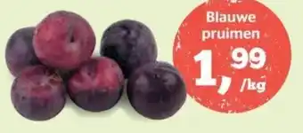 Blauwe pruimen