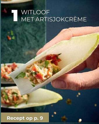 Bio Planet Witloof met artisjokcrème aanbieding