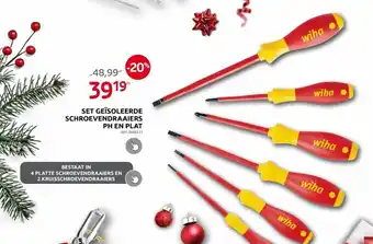 Set geisoleerde schroevendraaiers ph en plat