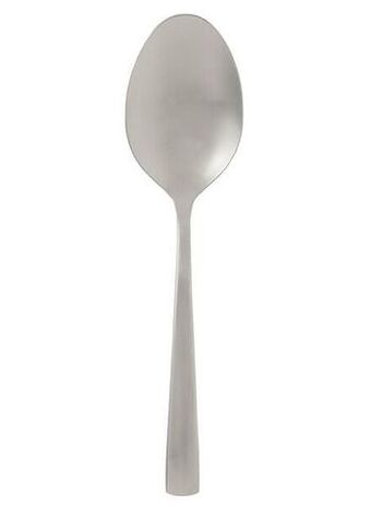 HEMA HEMA Dienlepel oslo (zilver) aanbieding