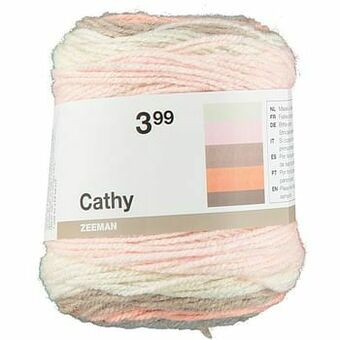 Zeeman Cathy breigaren aanbieding