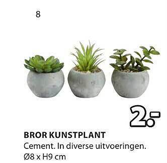 Jysk Bror kunstplant aanbieding