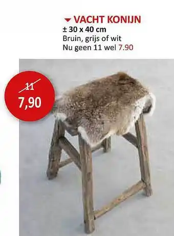 Vacht konijn