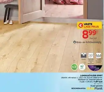Brico Laminaatvloer spirit aanbieding