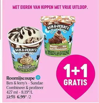Roomijscoupe ben & jerry's