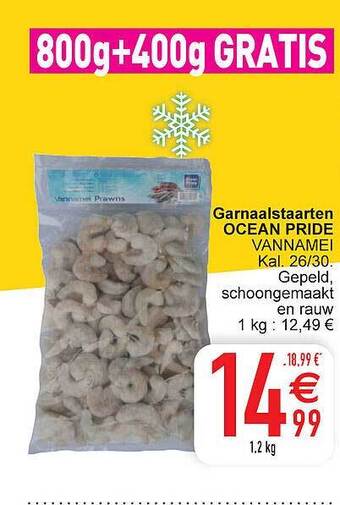 Cora Garnaalstaarten ocean pride aanbieding
