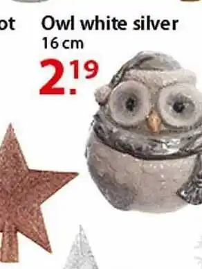 Owl white silver