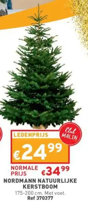 Trafic Nordmann Natuurlijke Kerstboom aanbieding