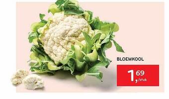 Alvo Bloemkool aanbieding