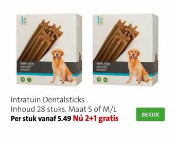Intratuin Intratuin dentalsticks aanbieding