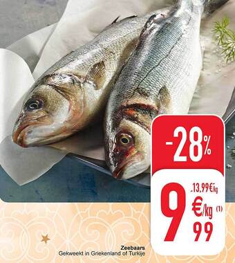 Cora Zeebaars aanbieding