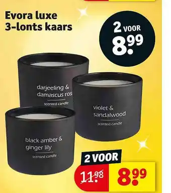 Evora luxe 3lonts kaars