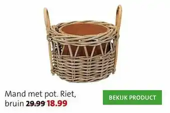 Intratuin Mand met pot aanbieding