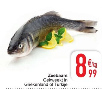 Zeebaars
