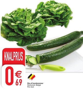 Cora Sla of komkommer aanbieding