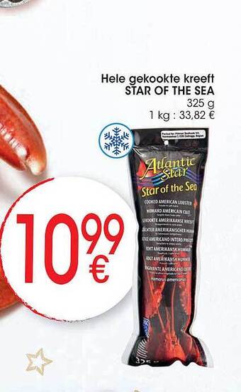 Cora Hele gekookte kreeft star of the sea aanbieding