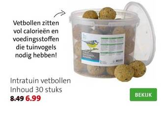 Intratuin vetbollen