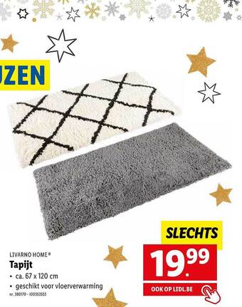 Lidl Livarno home tapijt aanbieding