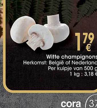 Cora Witte champignons aanbieding