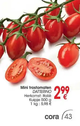 Cora Mini trostomaten datterino aanbieding