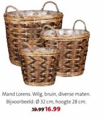 Intratuin Mand lorens aanbieding