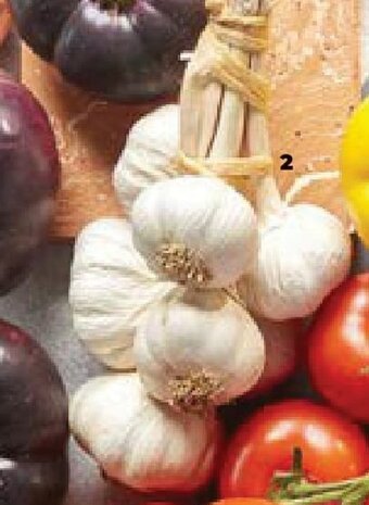 Verse knoflook