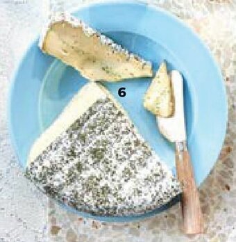 Bio Planet Brie met kruiden uit damme aanbieding