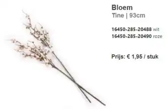 Bloem