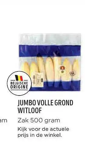 Jumbo volle grond witloof