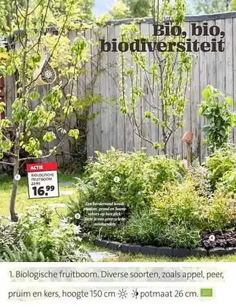 Intratuin Biologische fruitboom aanbieding